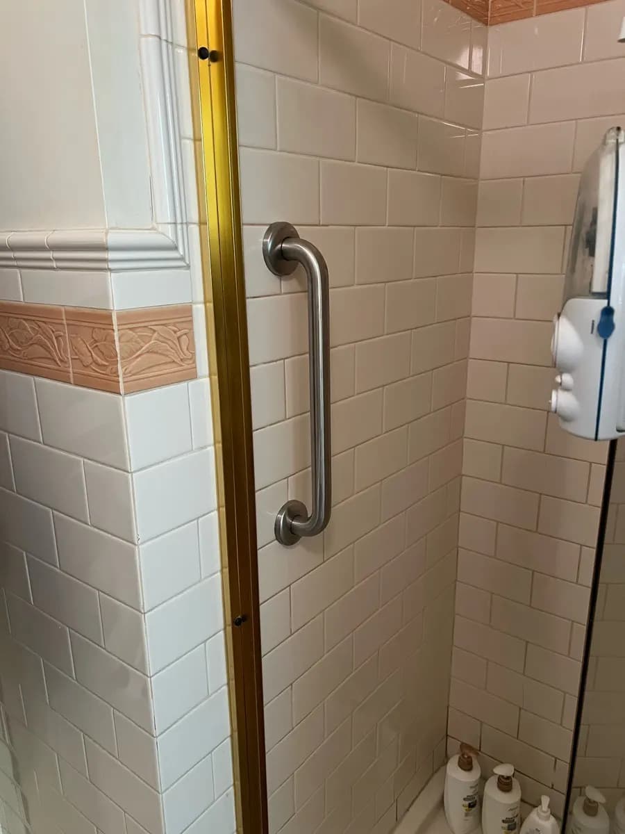 A stainless vertical grab rail on the tiled wall at the entry to a shower, beside the screen frame