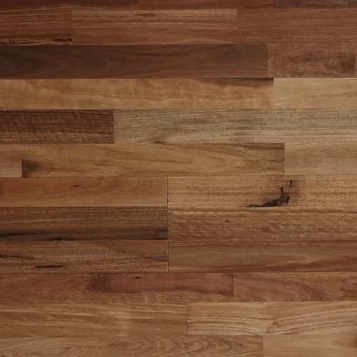 Spotted gum timber flooring in three-strip format, showing warm honey and chocolate tones